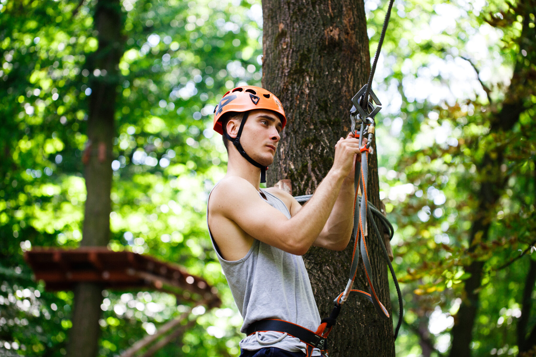 Professionnel de l'élagage se préparant à grimper dans un arbre à Royville