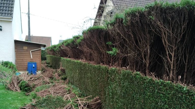 Paysagiste particulier entretien jardin Les Grandes-Ventes